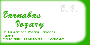 barnabas vozary business card