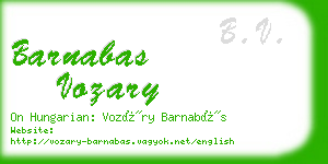 barnabas vozary business card